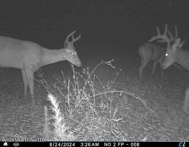 2738 County Farm Rd A D Liberty, MS 39645 - Photo 29 of 29 25