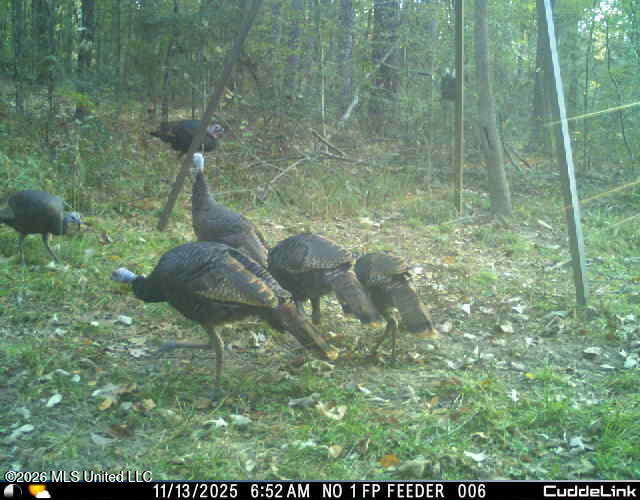 2738 County Farm Rd A D Liberty, MS 39645 - Photo 3 of 29 8_1