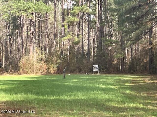 2738 County Farm Rd A D Liberty, MS 39645 - Photo 5 of 29 IMG_4044
