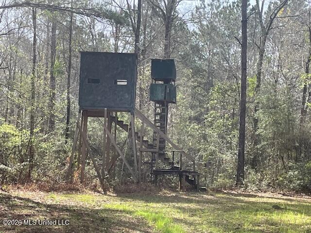 2738 County Farm Rd A D Liberty, MS 39645 - Photo 6 of 29 IMG_4043