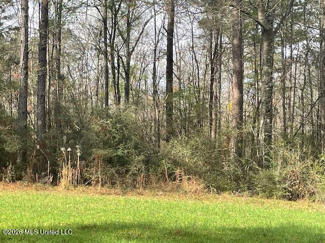 2738 County Farm Rd A D Liberty, MS 39645 - Photo 7 of 29 IMG_4042