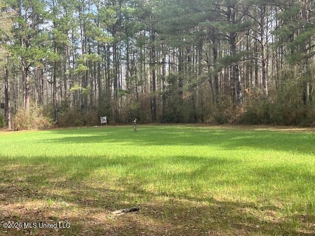 2738 County Farm Rd A D Liberty, MS 39645 - Photo 8 of 29 IMG_4040