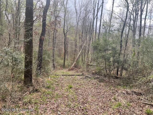 2738 County Farm Rd A D Liberty, MS 39645 - Photo 9 of 29 IMG_4034
