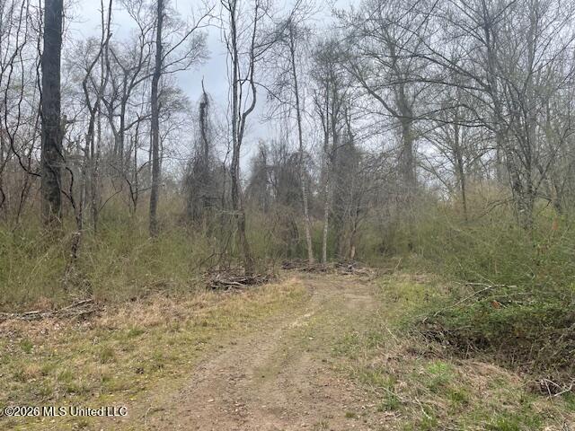 2738 County Farm Rd A D Liberty, MS 39645 - Photo 10 of 29 IMG_4019