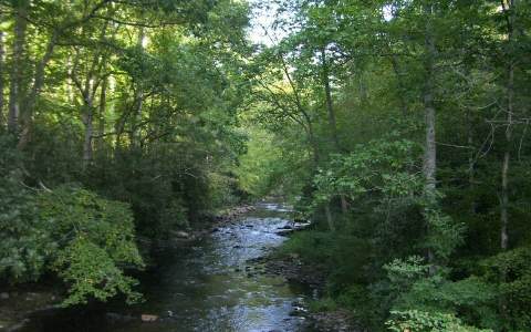 11 Fires Creek Road Murphy, NC 28906 - Photo 1 of 1 Main View