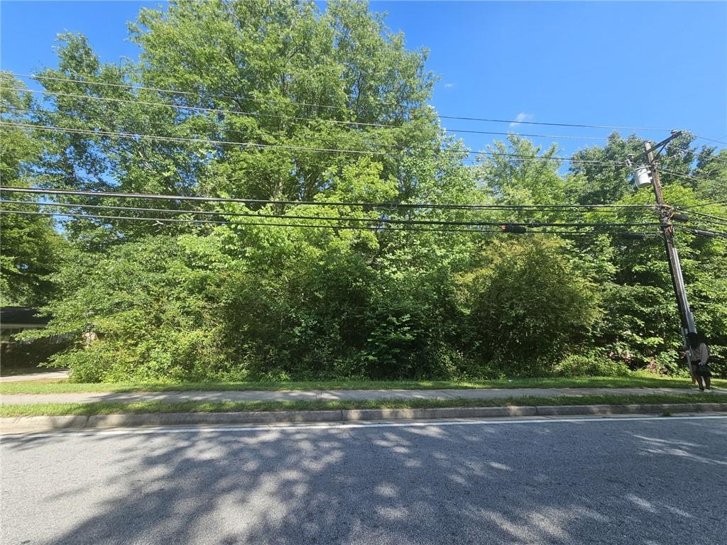 a view of a yard with a plant