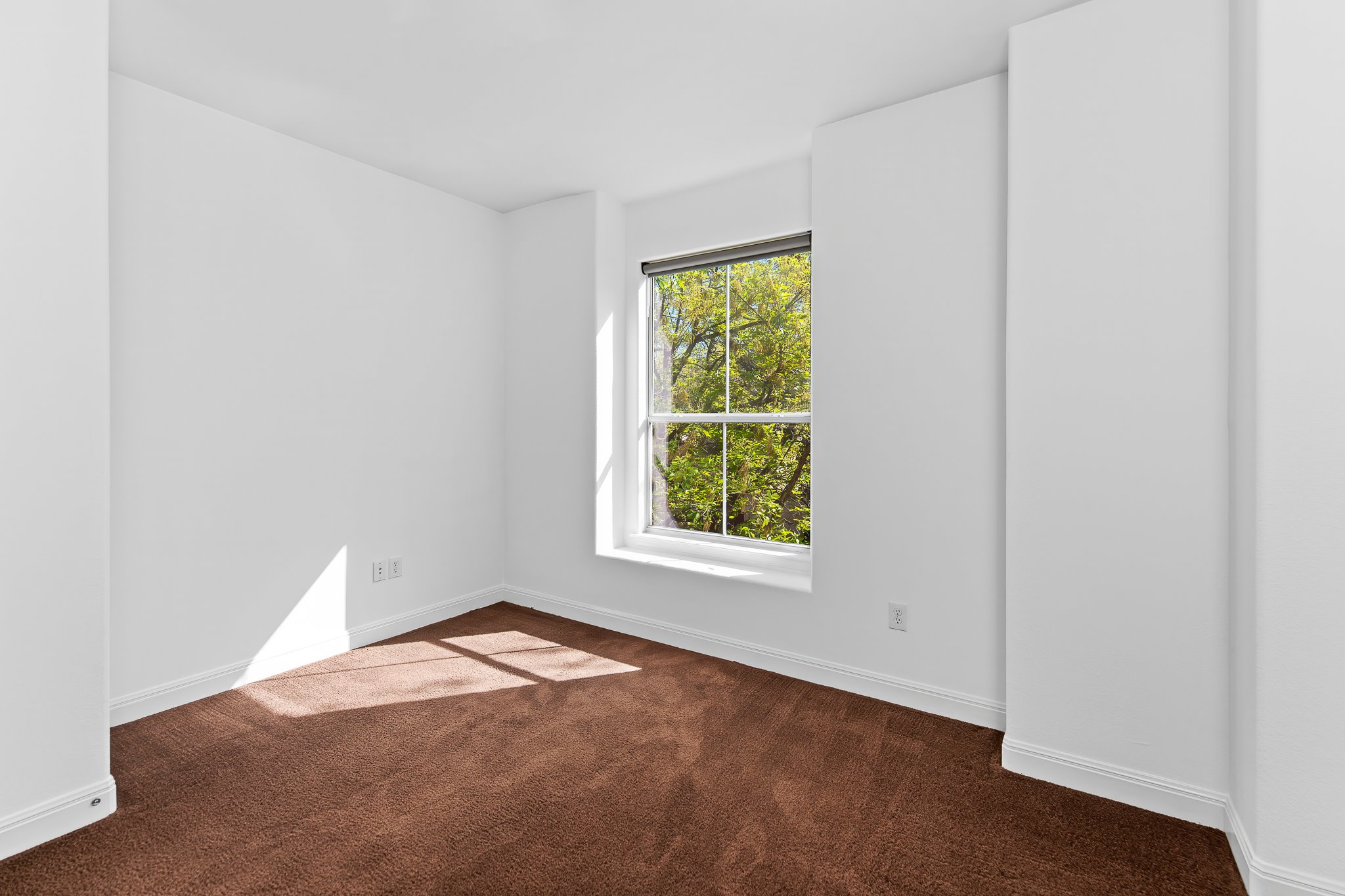 3406 Menchaca Road, Unit 28 Austin, TX 78704 - Photo 33 of 40 Unfurnished room with baseboards and dark carpet