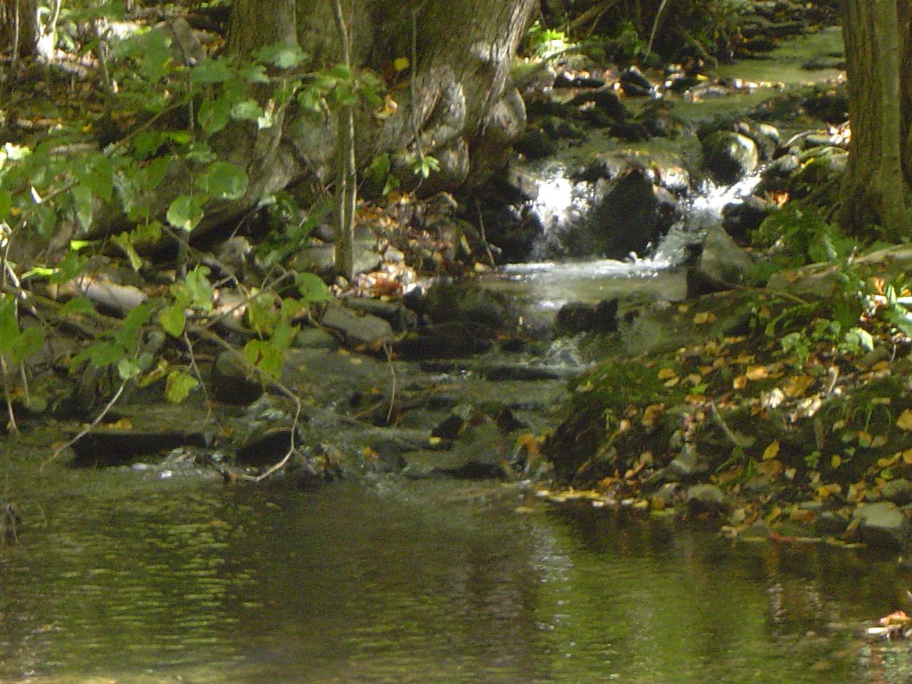 Off East Stroudsburg, PA 18302 - Photo 3 of 4 stream