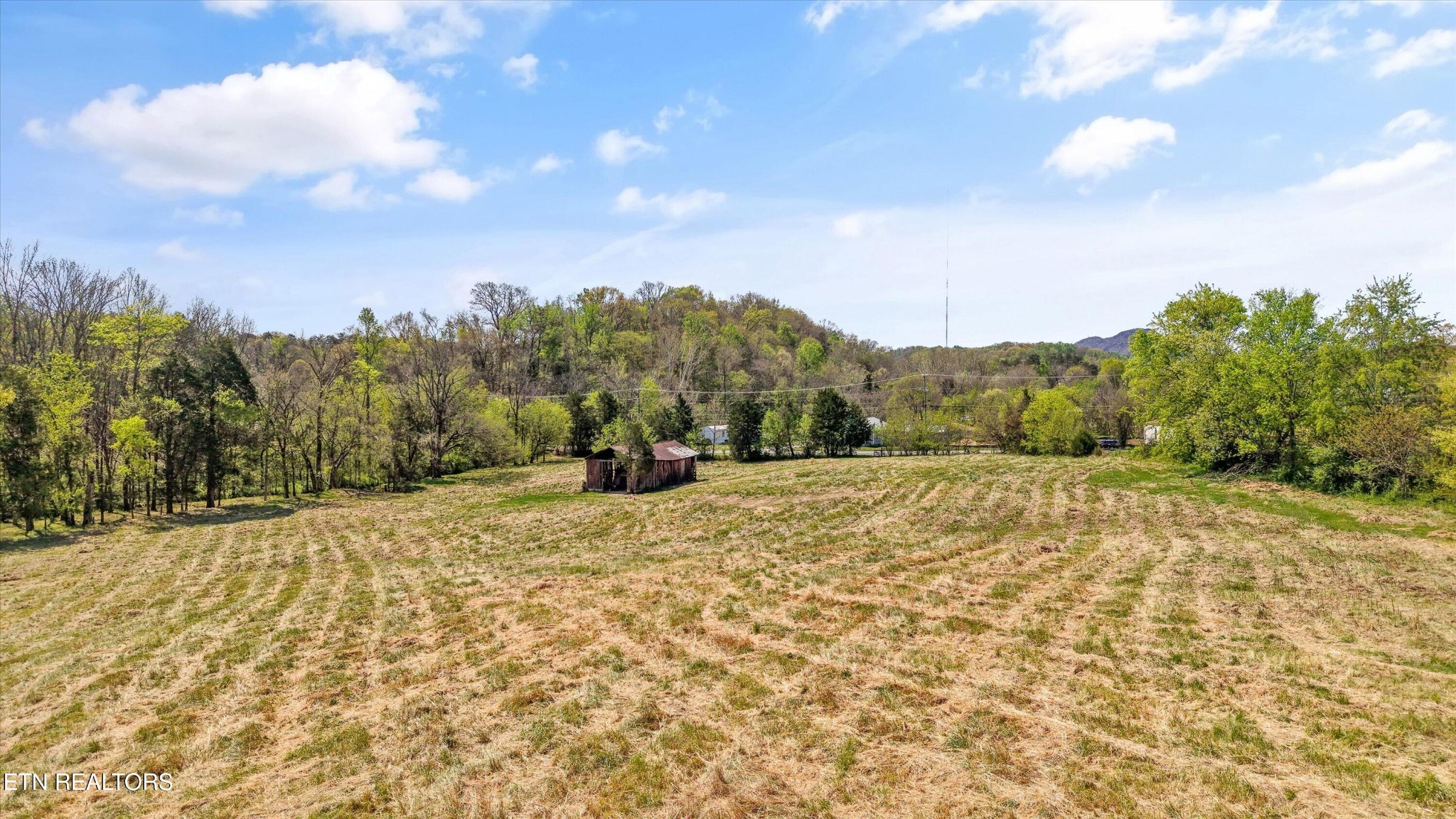 0 Indian Ridge Road Blaine, TN 37709 - Photo 8 of 17 Gallery Image 8