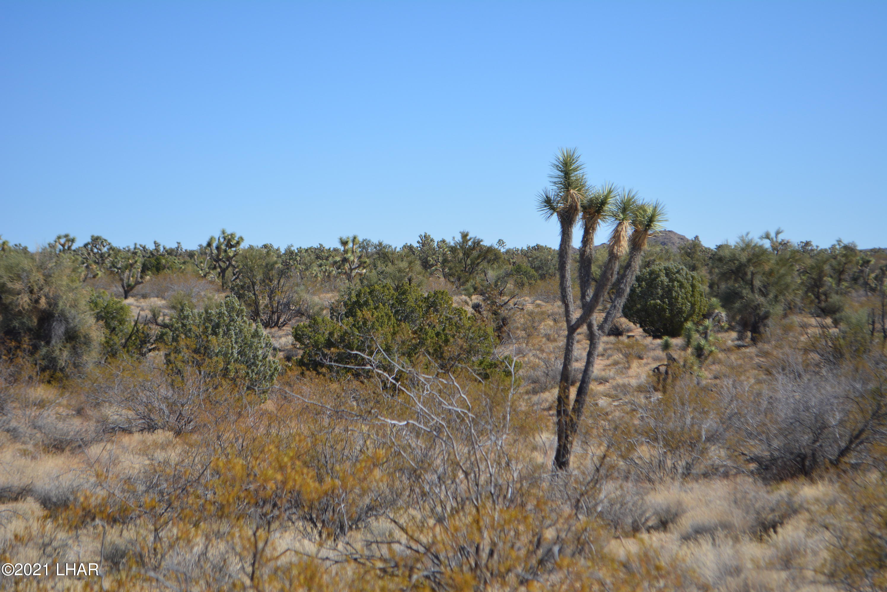 2082 South Roadrunner Road Yucca, AZ 86438 - Photo 11 of 30 DSC_0718