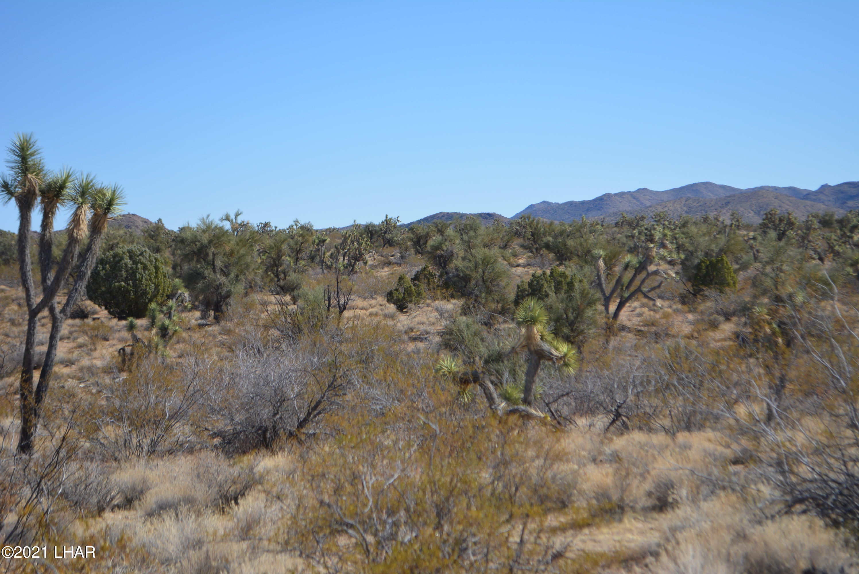2082 South Roadrunner Road Yucca, AZ 86438 - Photo 12 of 30 DSC_0719