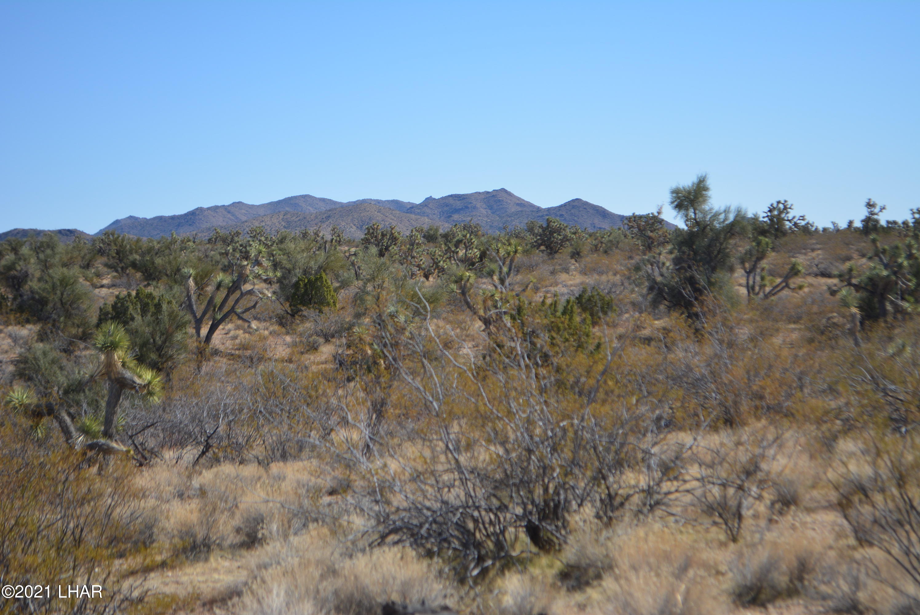 2082 South Roadrunner Road Yucca, AZ 86438 - Photo 13 of 30 DSC_0720
