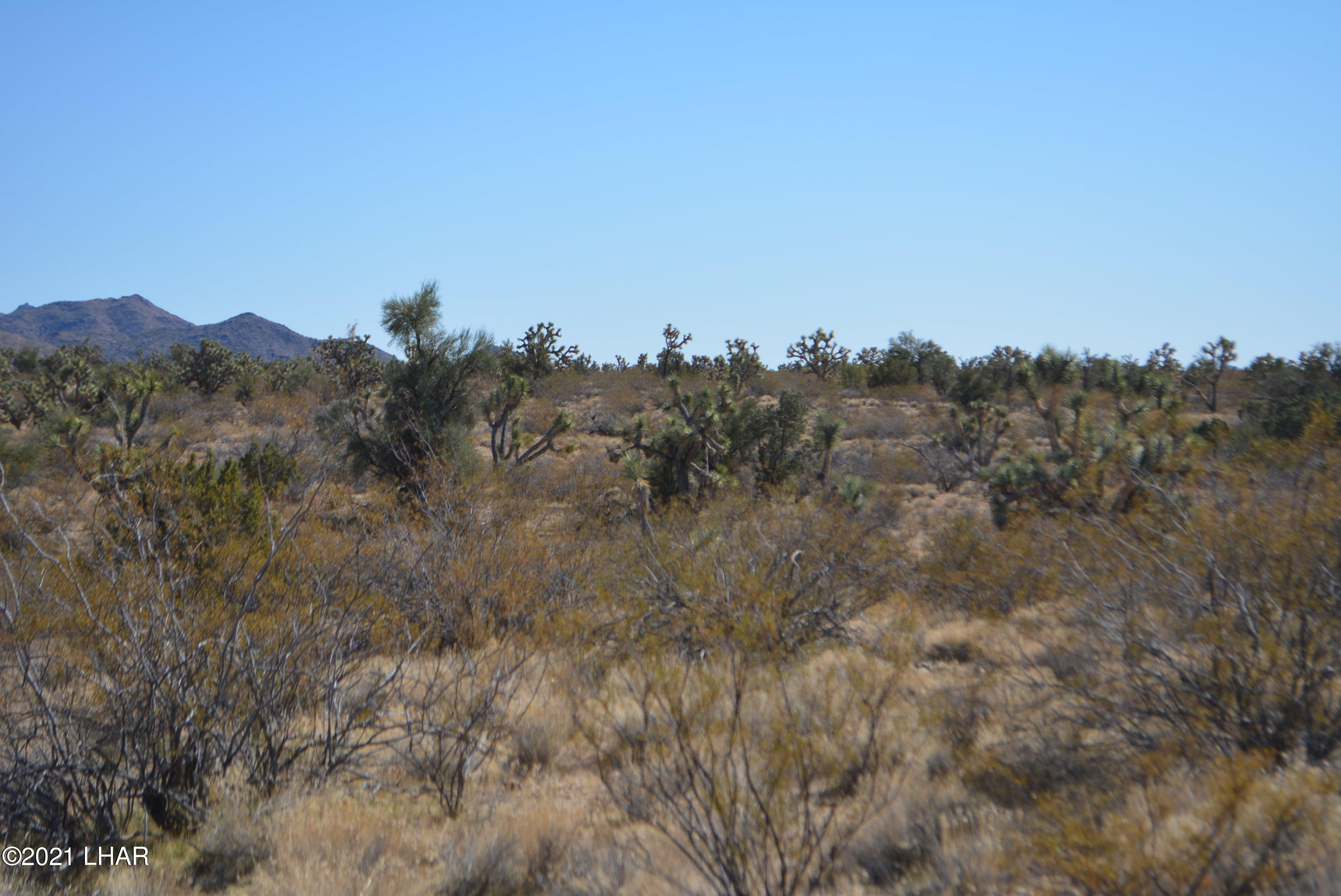 2082 South Roadrunner Road Yucca, AZ 86438 - Photo 14 of 30 DSC_0721