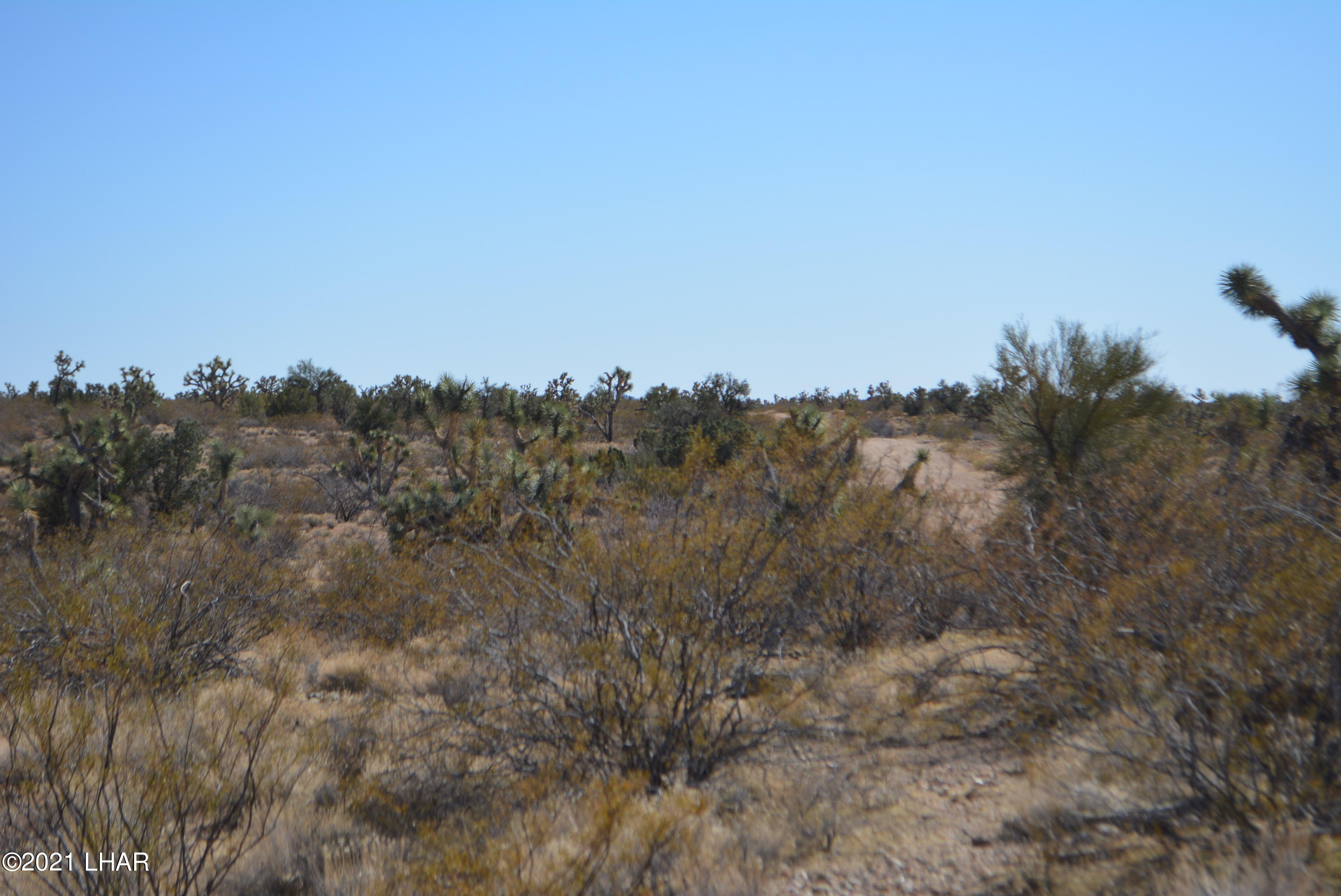 2082 South Roadrunner Road Yucca, AZ 86438 - Photo 15 of 30 DSC_0722