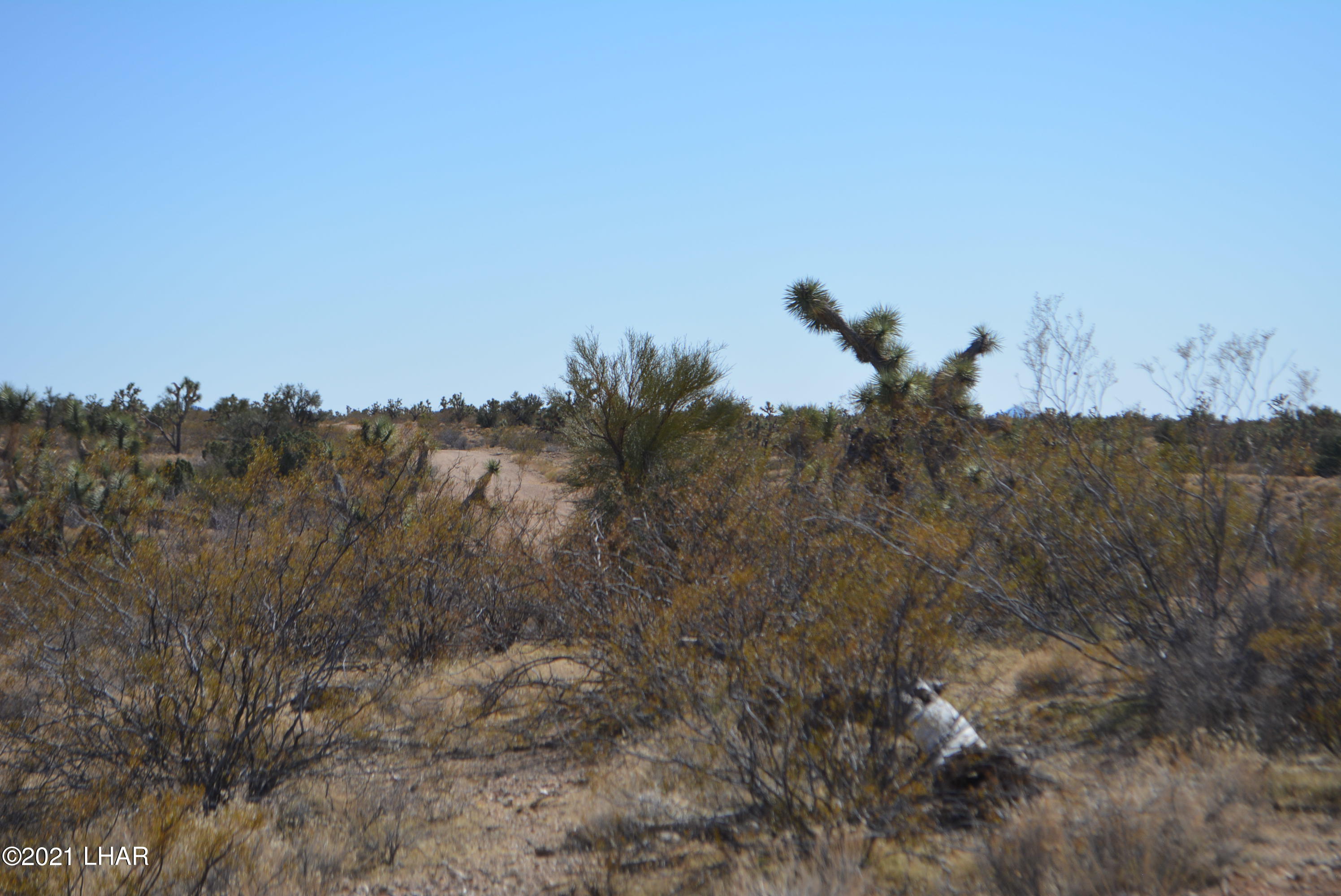 2082 South Roadrunner Road Yucca, AZ 86438 - Photo 16 of 30 DSC_0723