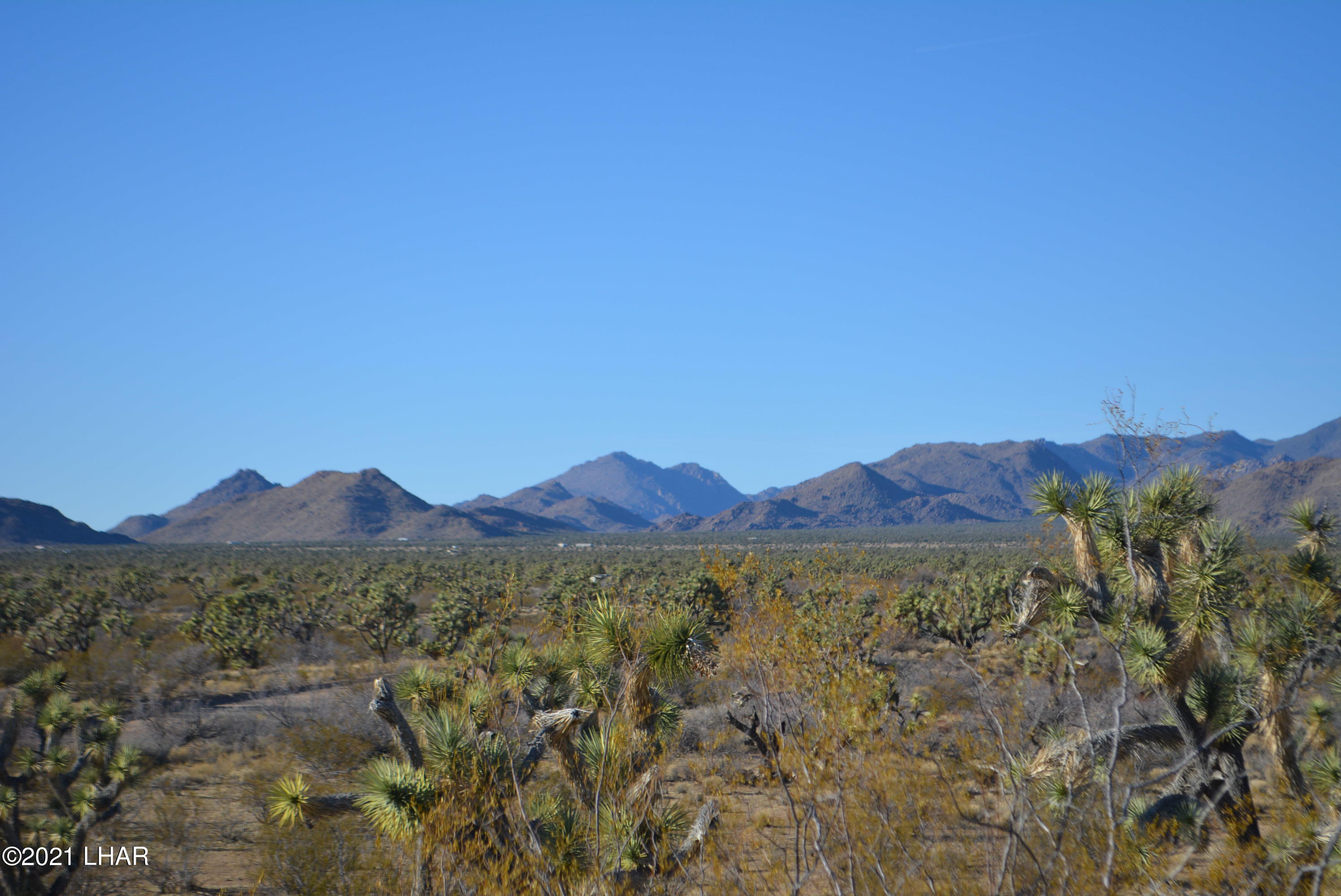 2082 South Roadrunner Road Yucca, AZ 86438 - Photo 17 of 30 DSC_0808