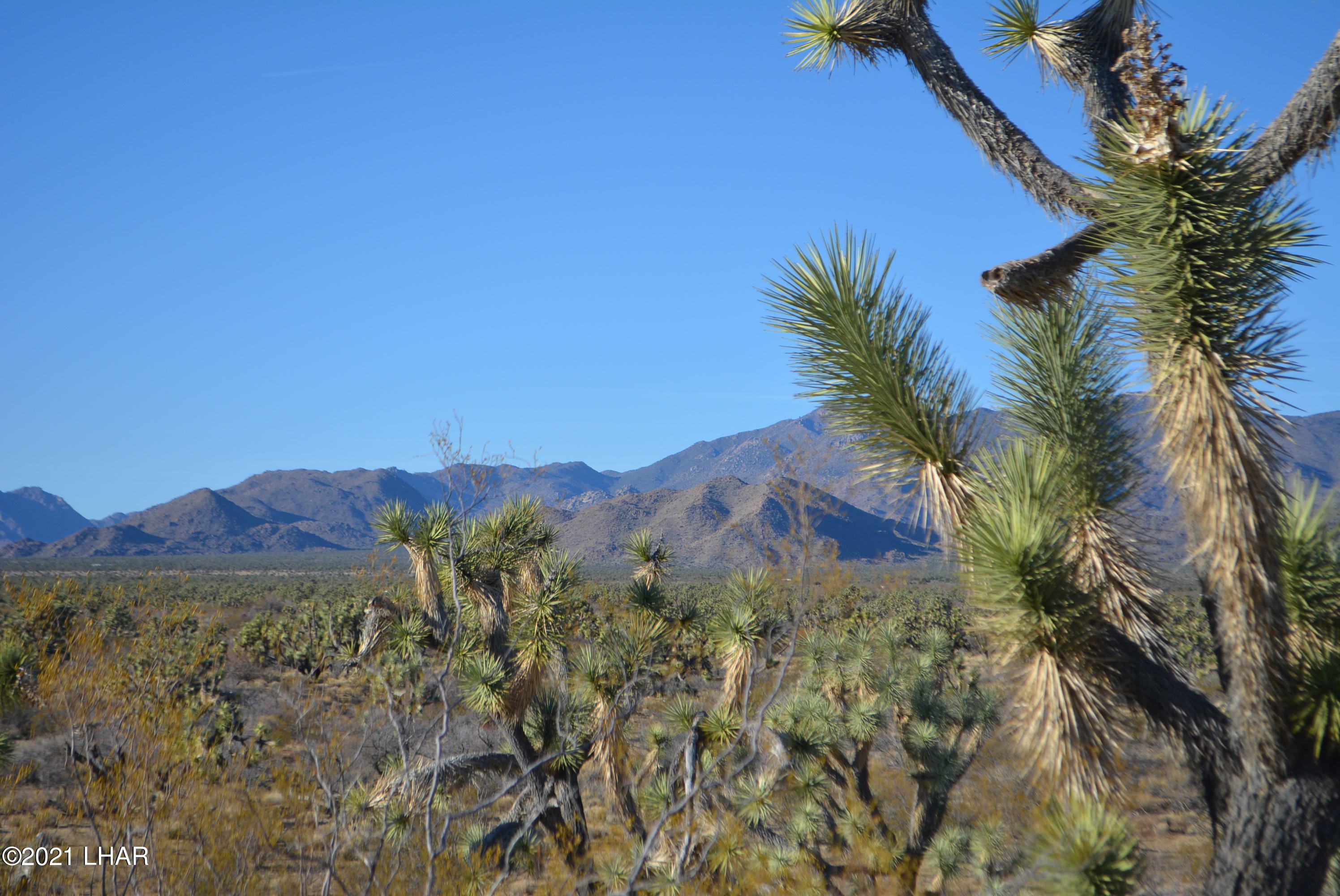 2082 South Roadrunner Road Yucca, AZ 86438 - Photo 18 of 30 DSC_0809