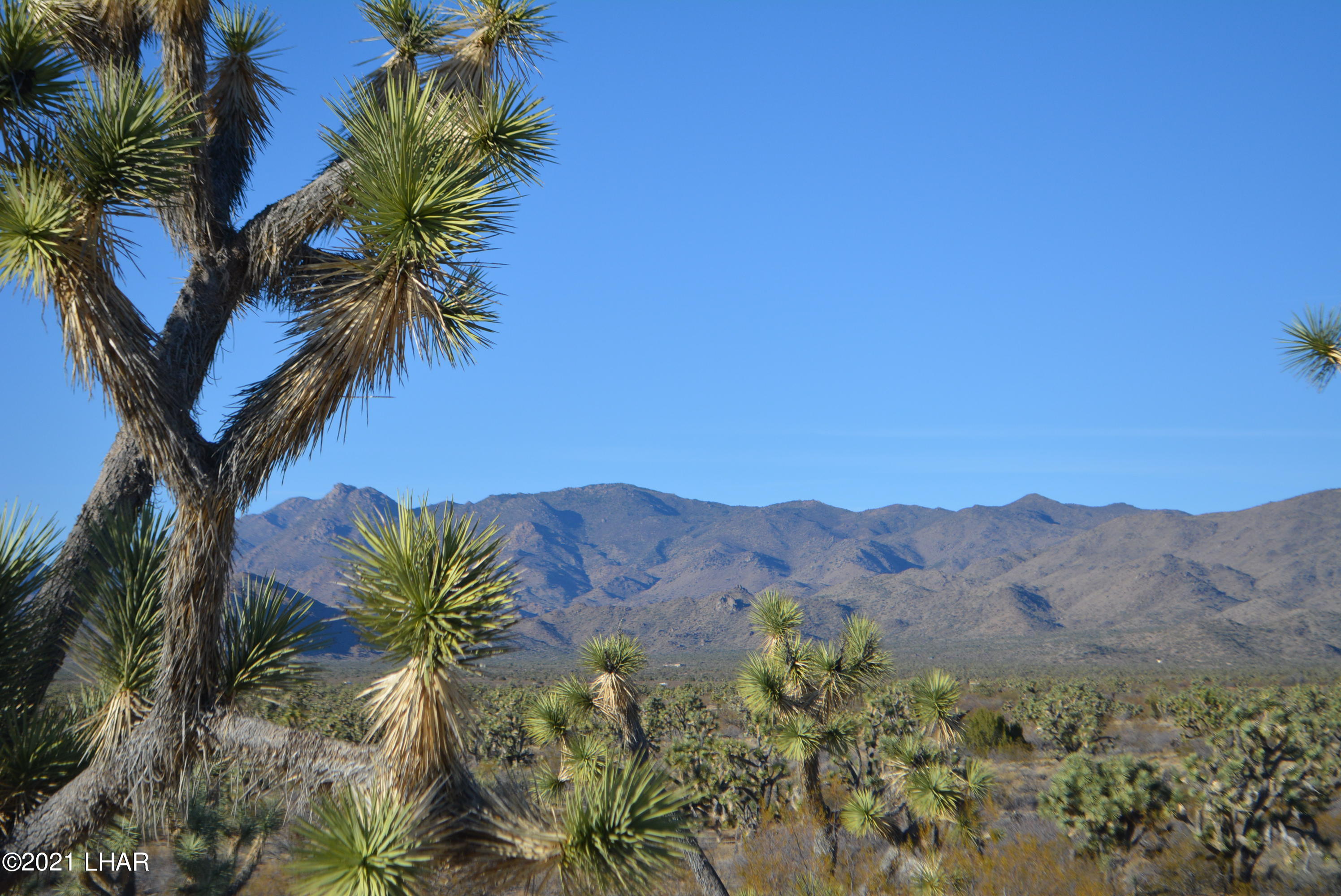 2082 South Roadrunner Road Yucca, AZ 86438 - Photo 20 of 30 DSC_0811