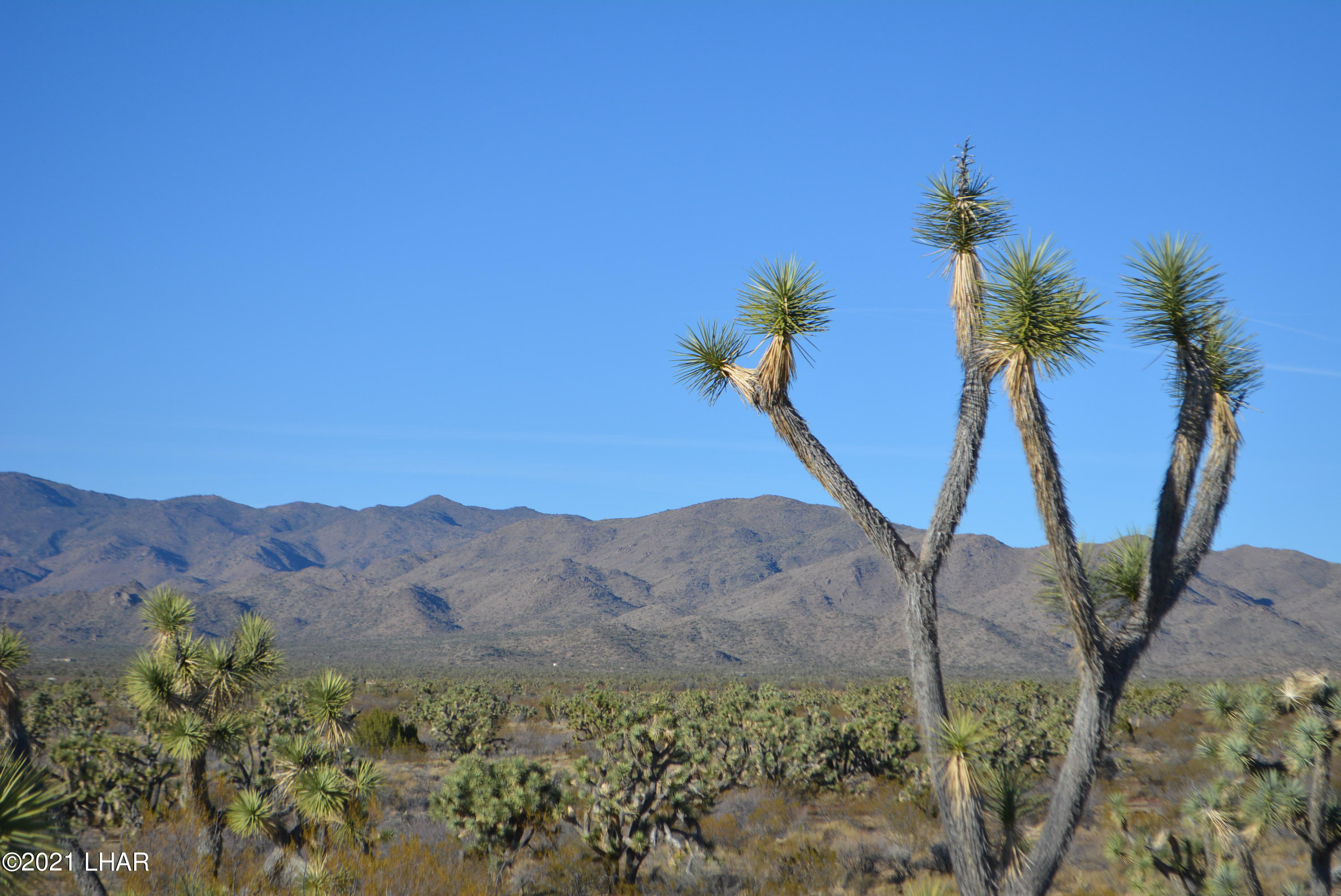 2082 South Roadrunner Road Yucca, AZ 86438 - Photo 21 of 30 DSC_0812