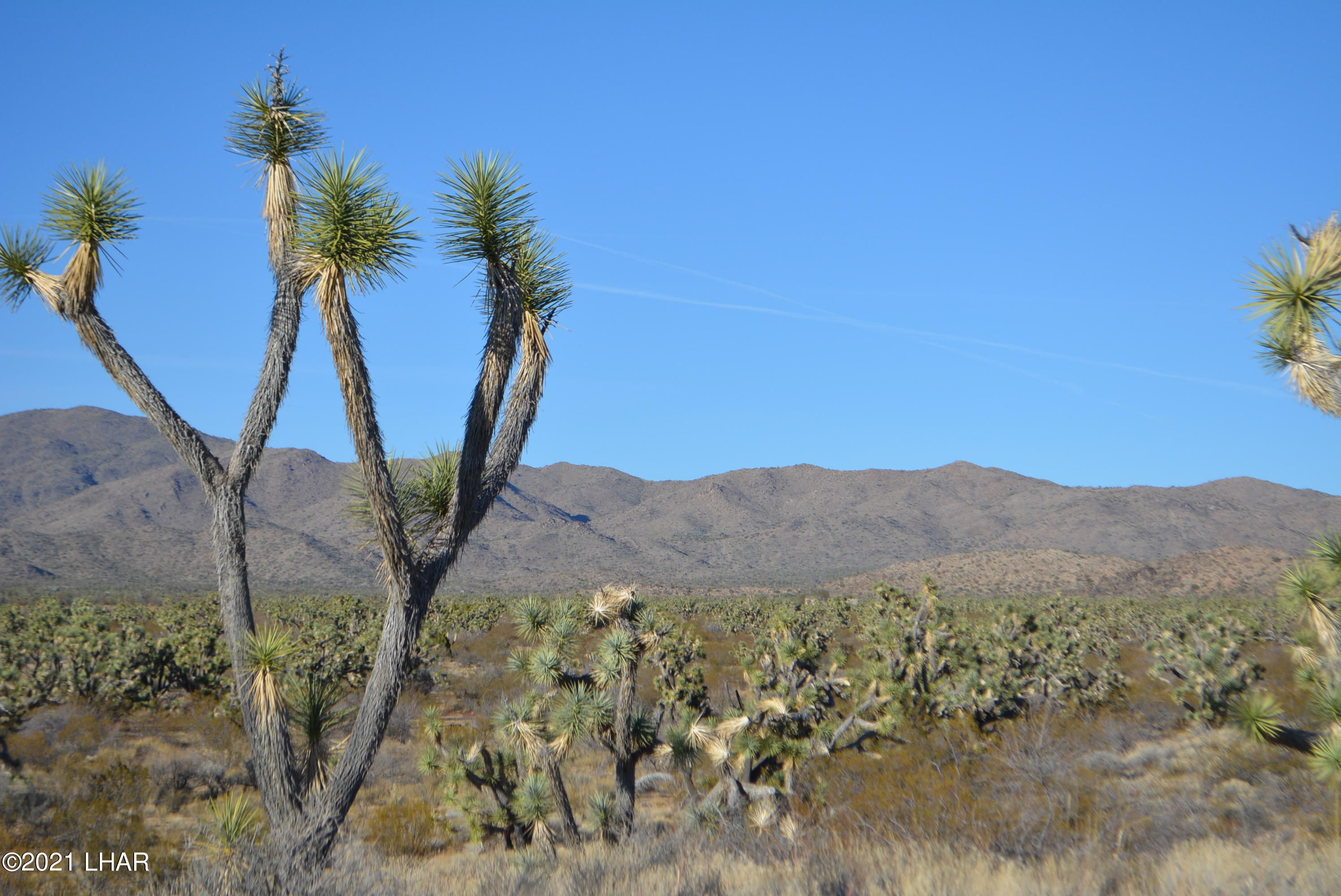 2082 South Roadrunner Road Yucca, AZ 86438 - Photo 22 of 30 DSC_0813