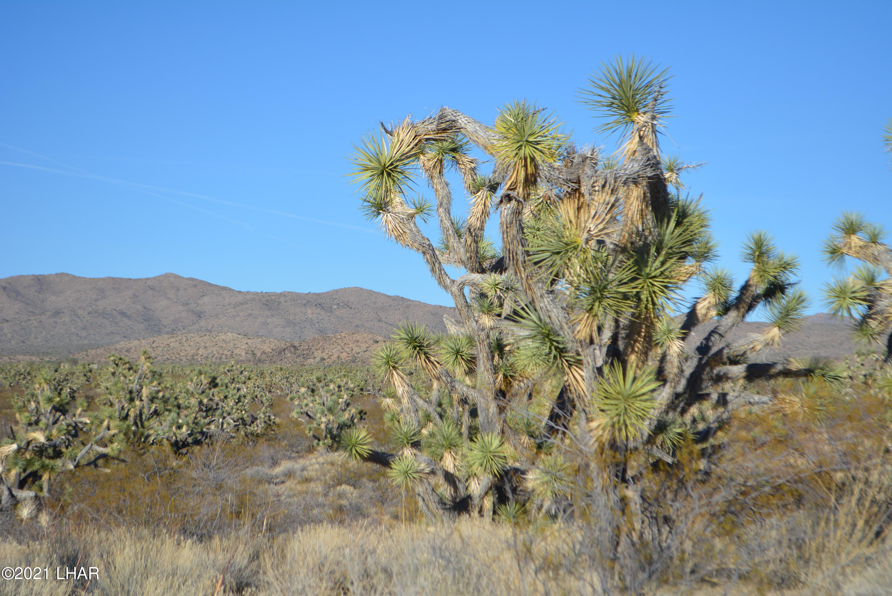 2082 South Roadrunner Road Yucca, AZ 86438 - Photo 23 of 30 DSC_0814