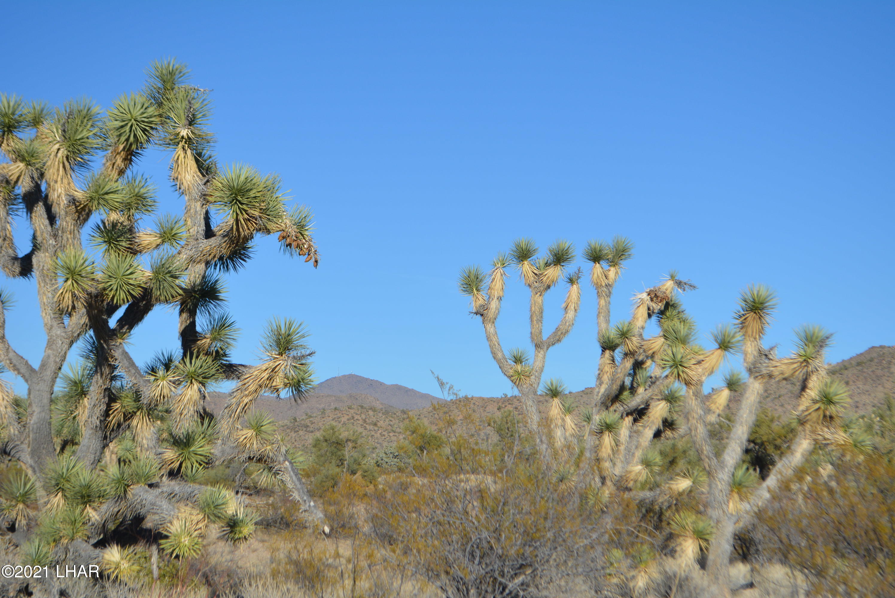 2082 South Roadrunner Road Yucca, AZ 86438 - Photo 25 of 30 DSC_0816