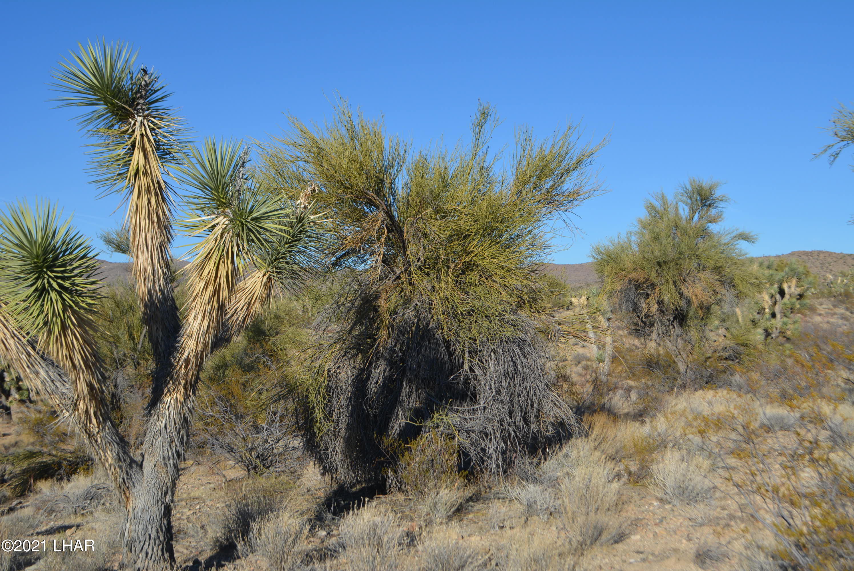 2082 South Roadrunner Road Yucca, AZ 86438 - Photo 27 of 30 DSC_0818