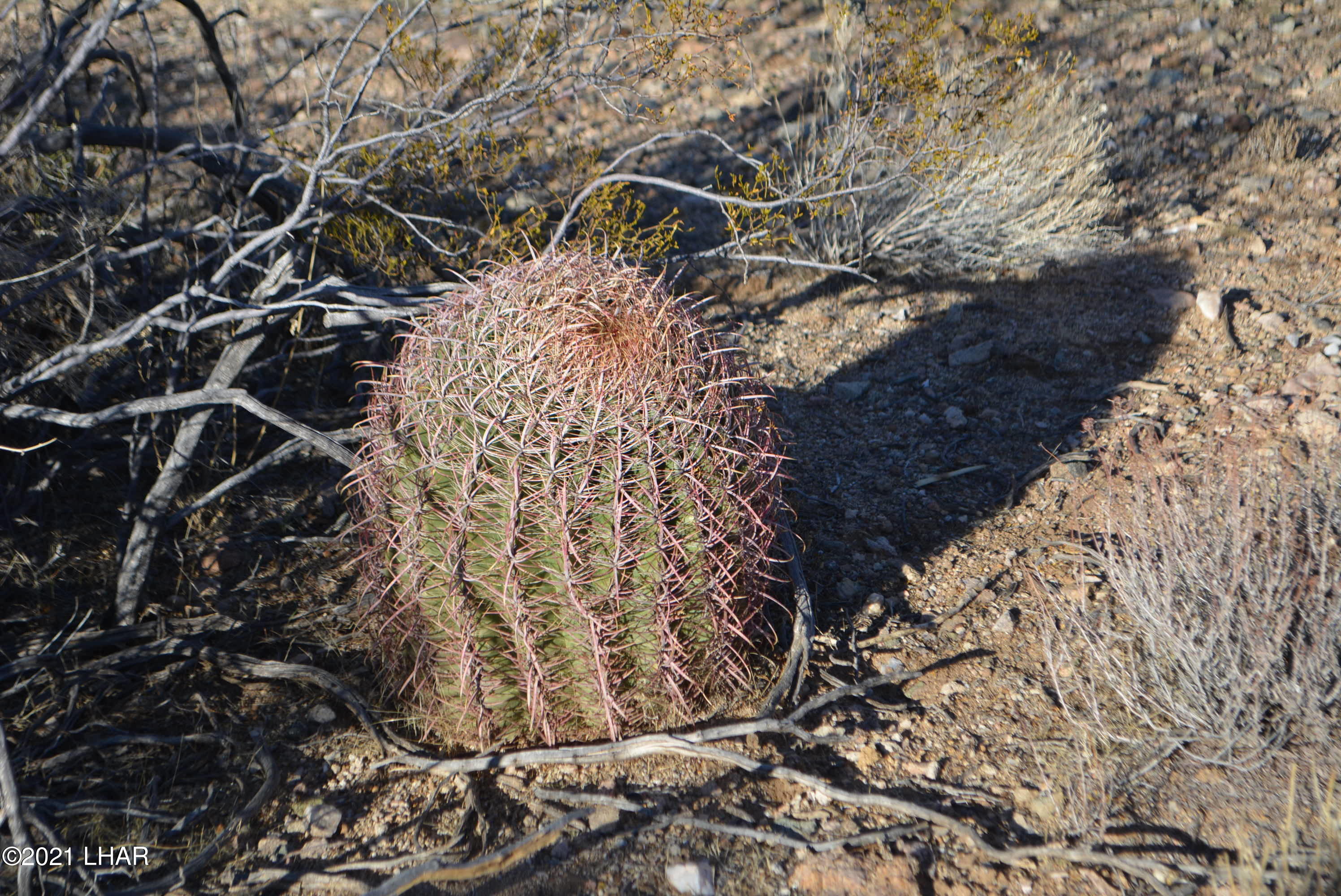 2082 South Roadrunner Road Yucca, AZ 86438 - Photo 28 of 30 DSC_0819