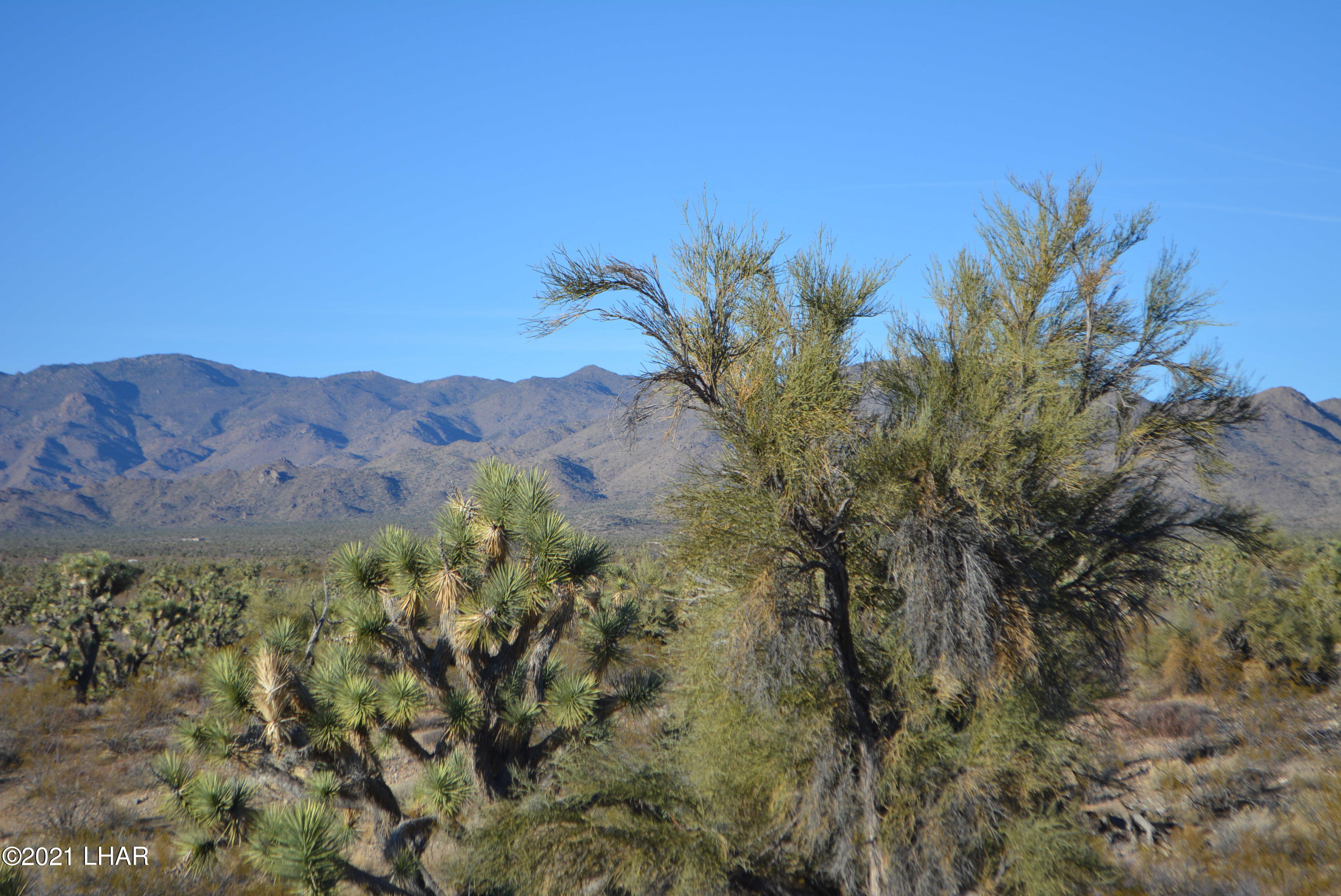 2082 South Roadrunner Road Yucca, AZ 86438 - Photo 29 of 30 DSC_0820