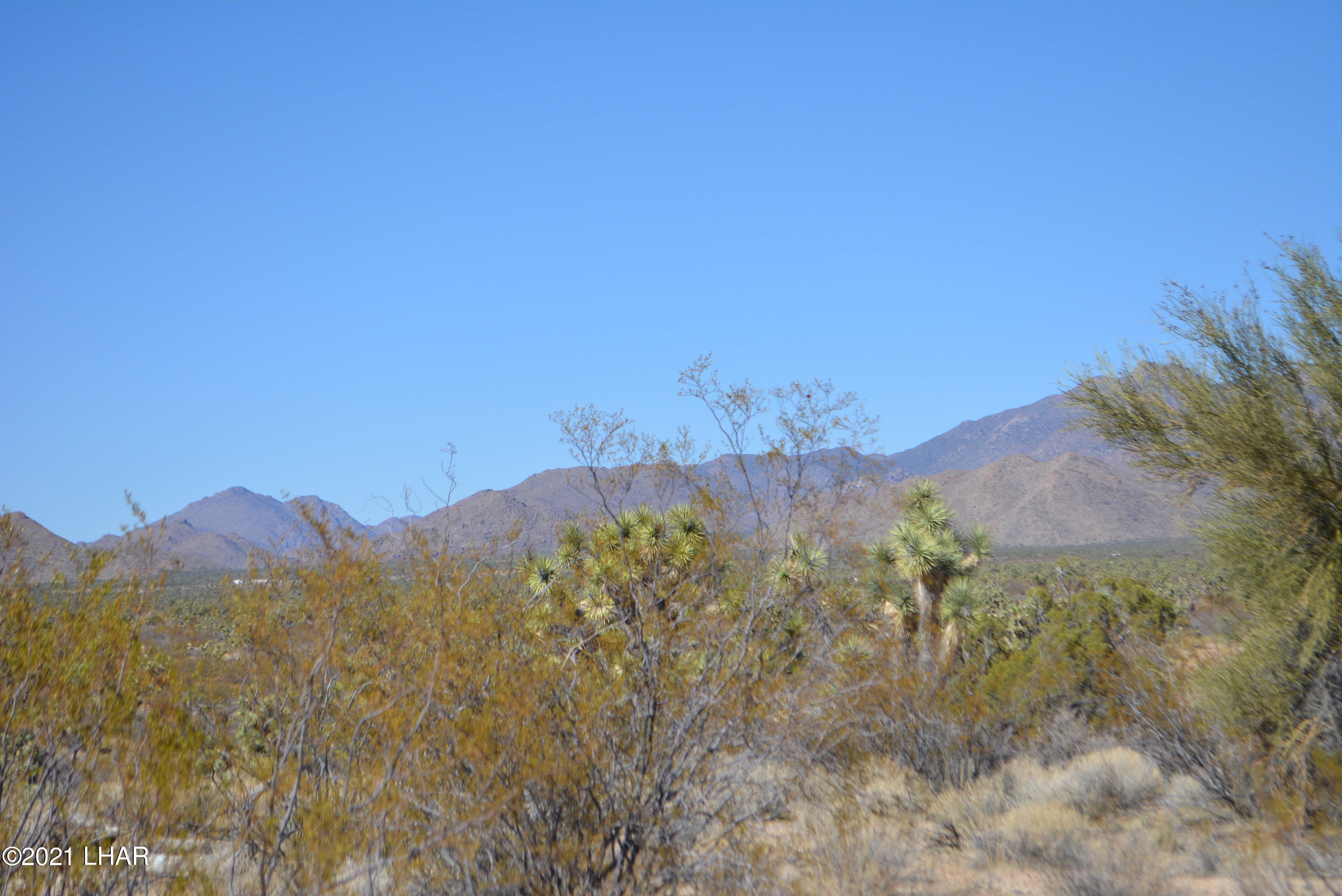 2082 South Roadrunner Road Yucca, AZ 86438 - Photo 3 of 30 DSC_0709