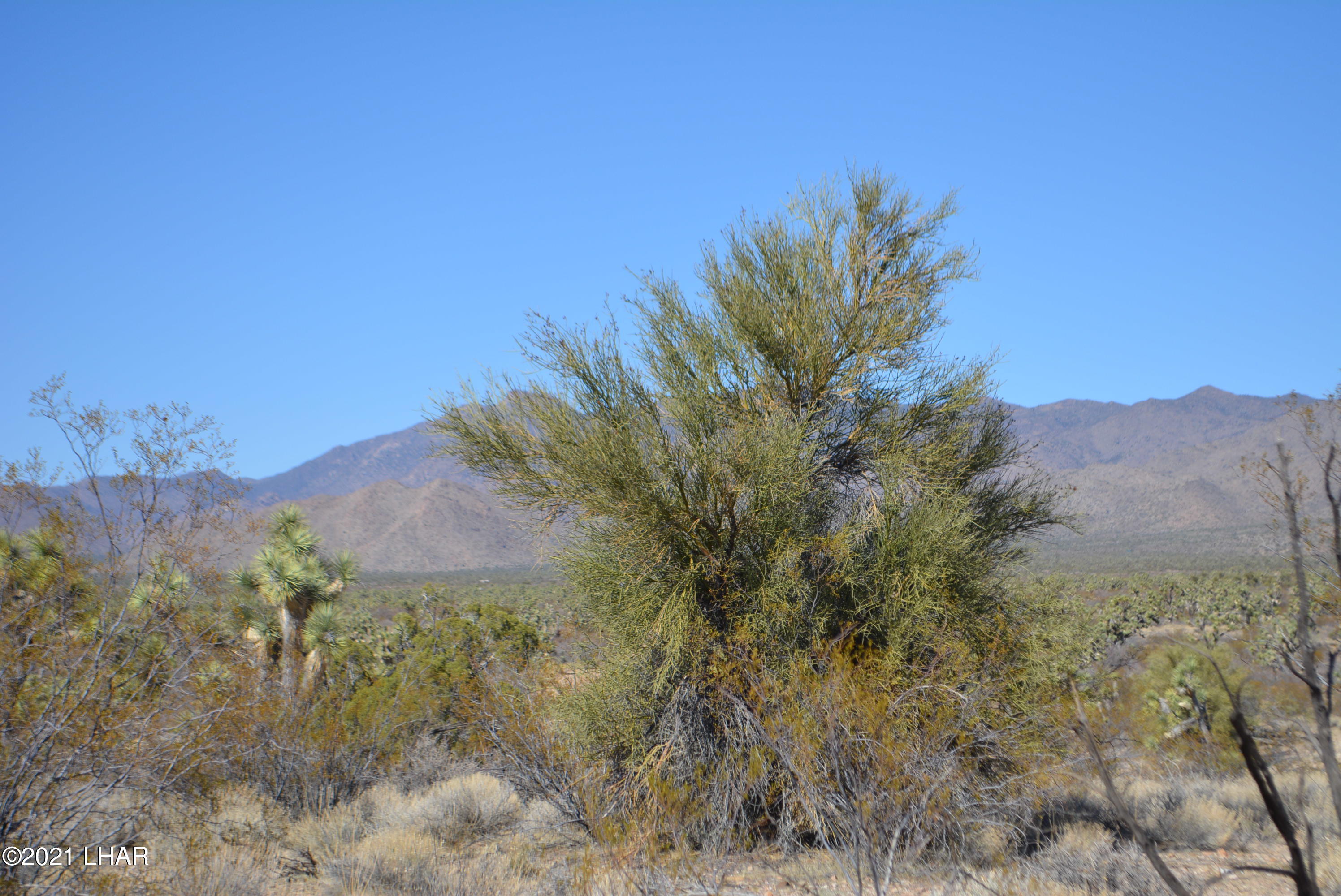 2082 South Roadrunner Road Yucca, AZ 86438 - Photo 4 of 30 DSC_0710