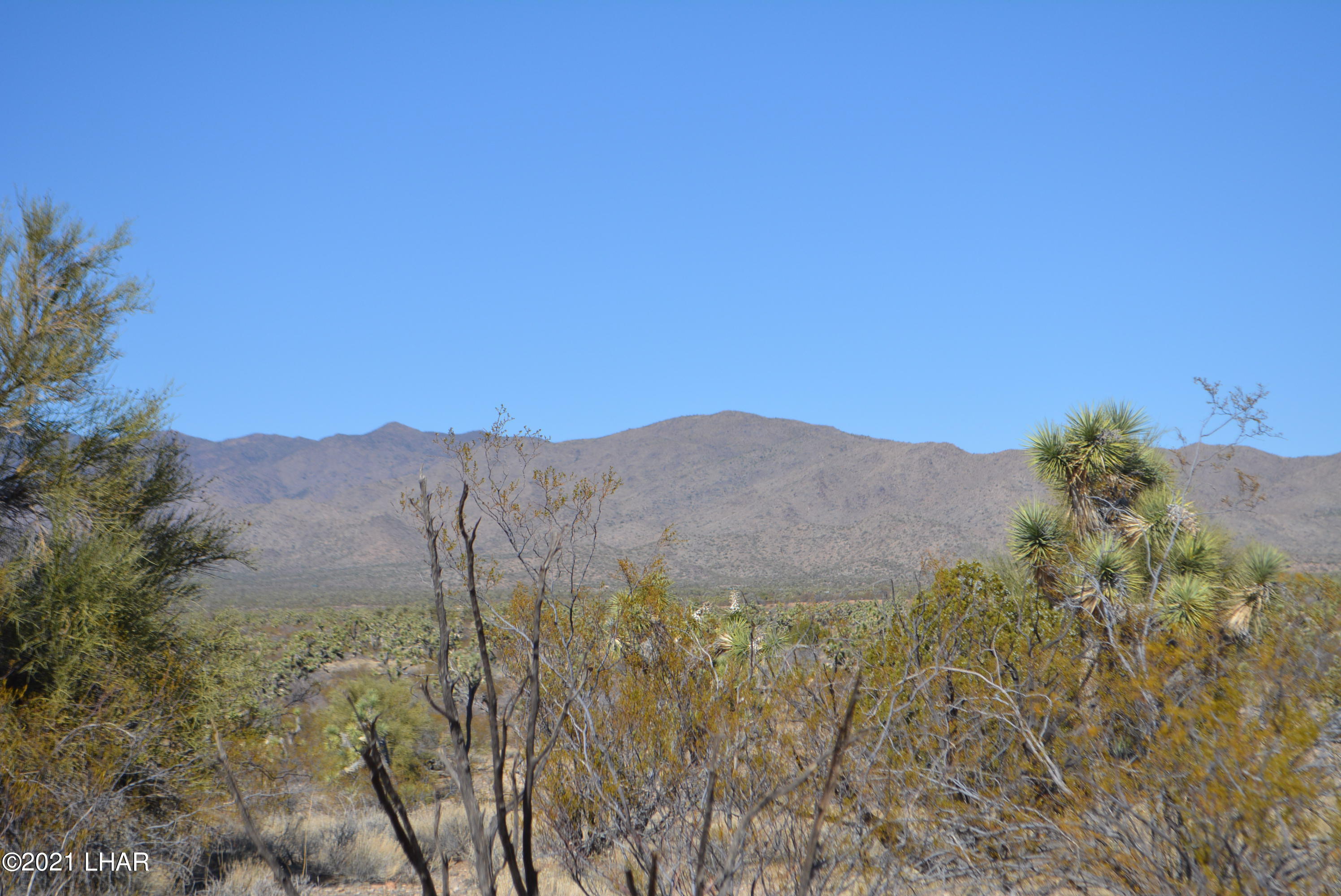 2082 South Roadrunner Road Yucca, AZ 86438 - Photo 5 of 30 DSC_0711