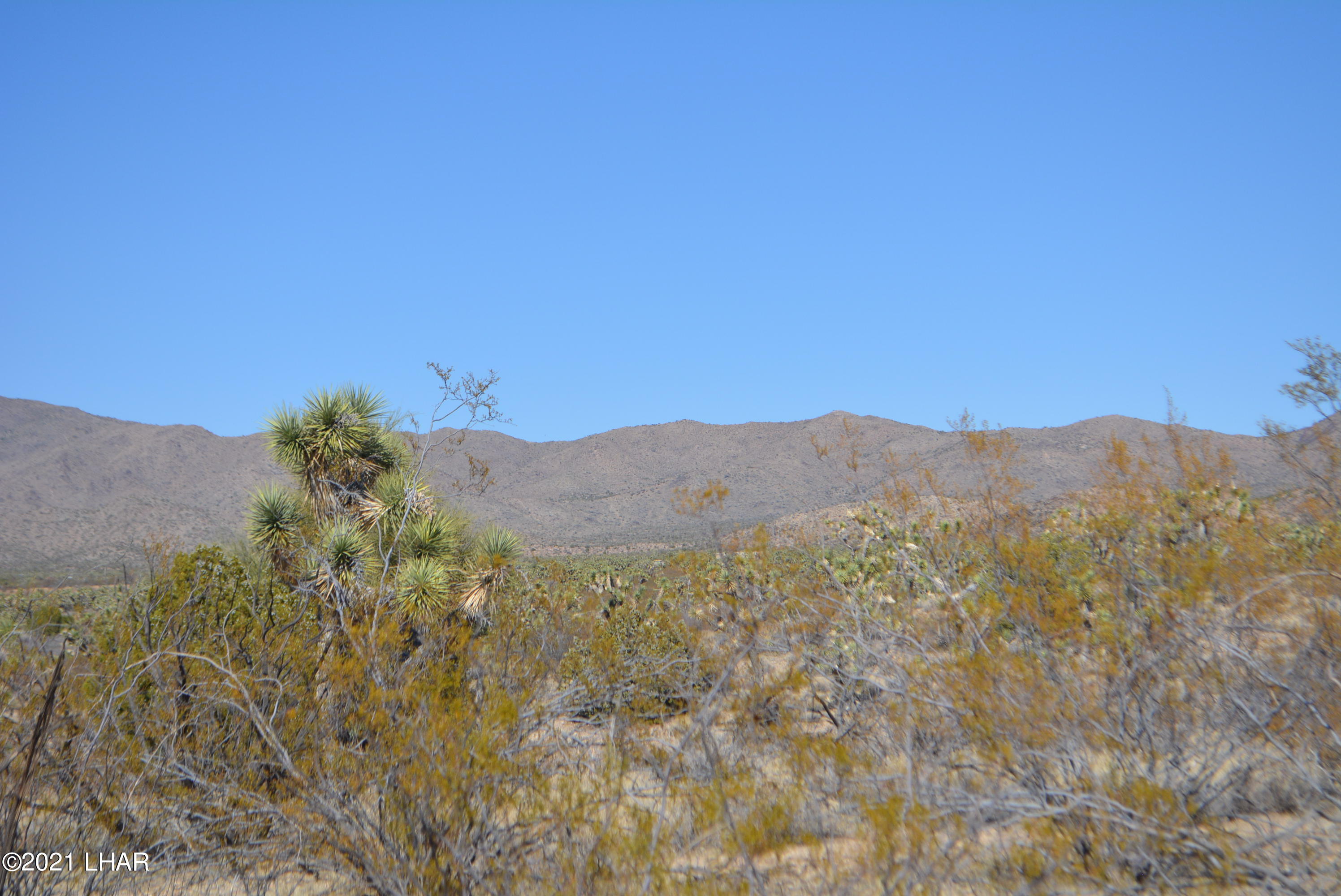 2082 South Roadrunner Road Yucca, AZ 86438 - Photo 6 of 30 DSC_0712