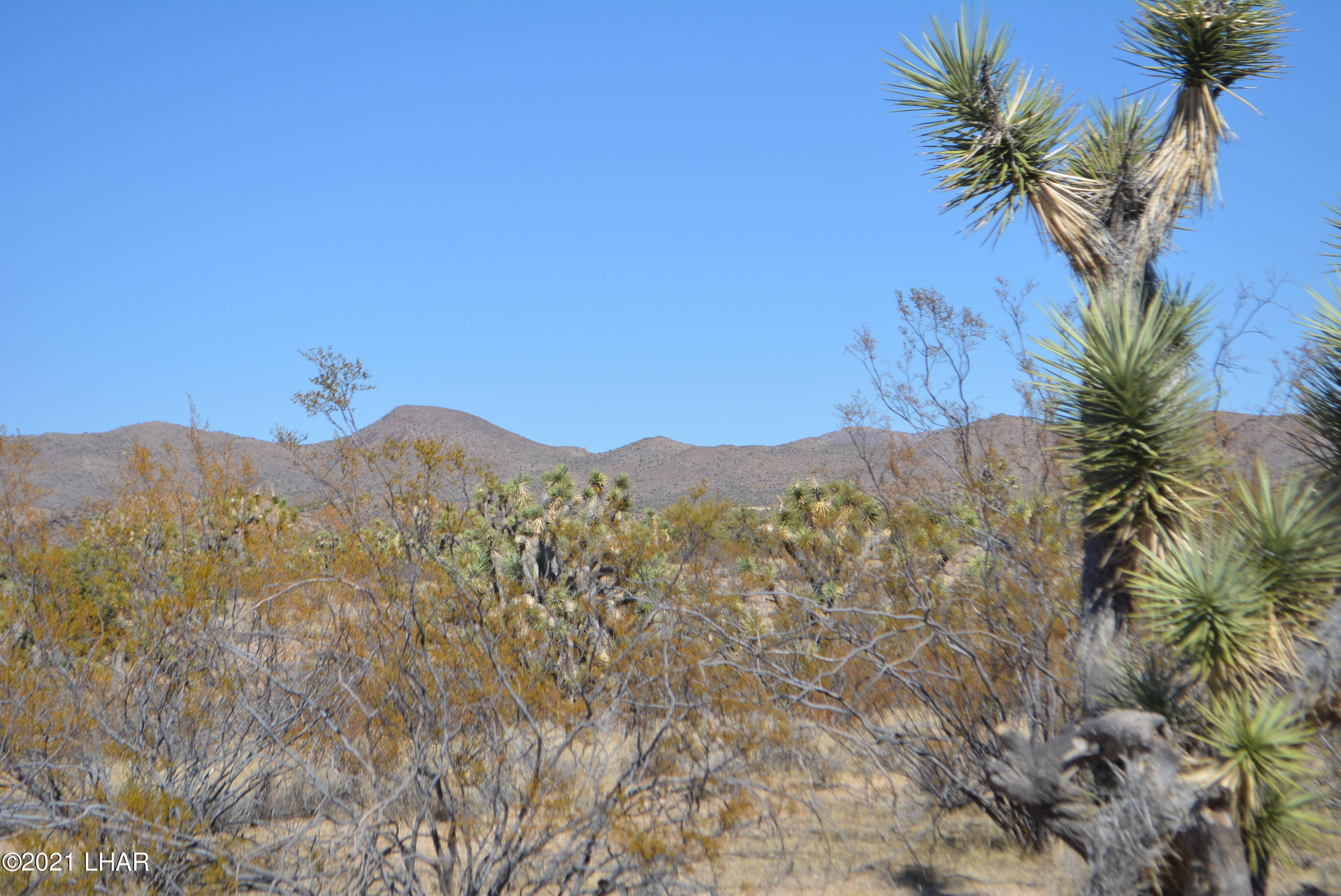 2082 South Roadrunner Road Yucca, AZ 86438 - Photo 7 of 30 DSC_0713