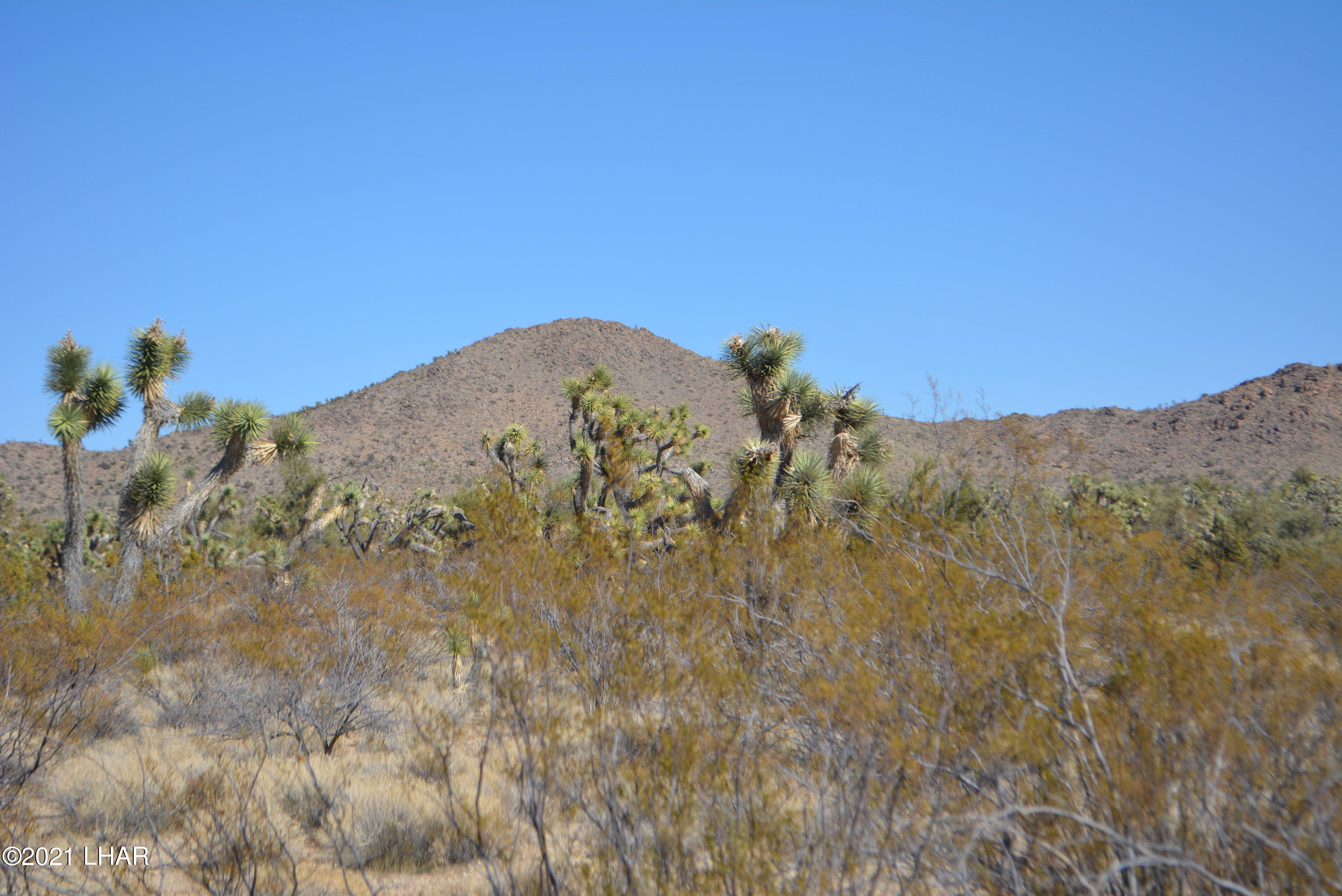2082 South Roadrunner Road Yucca, AZ 86438 - Photo 8 of 30 DSC_0715