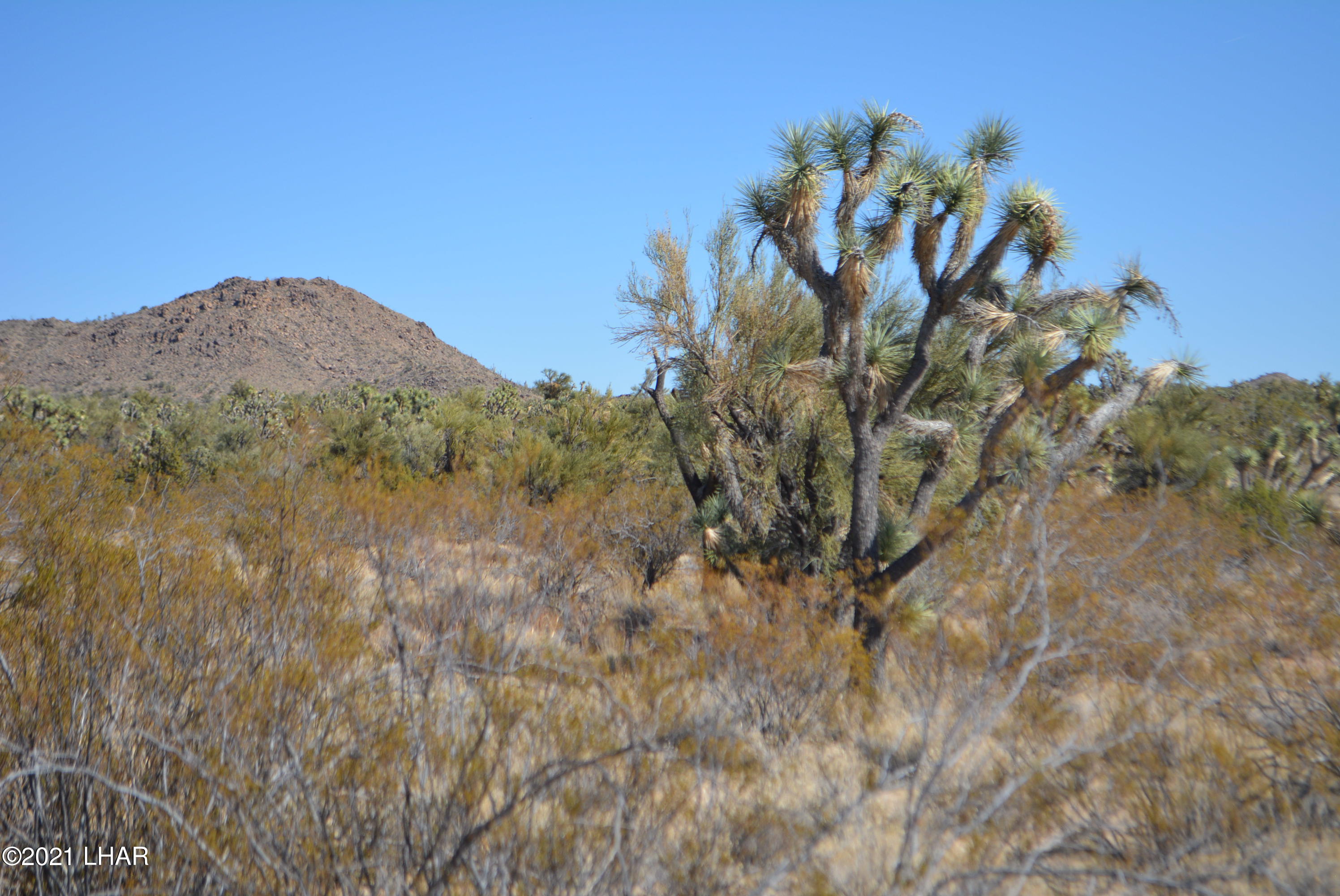 2082 South Roadrunner Road Yucca, AZ 86438 - Photo 9 of 30 DSC_0716