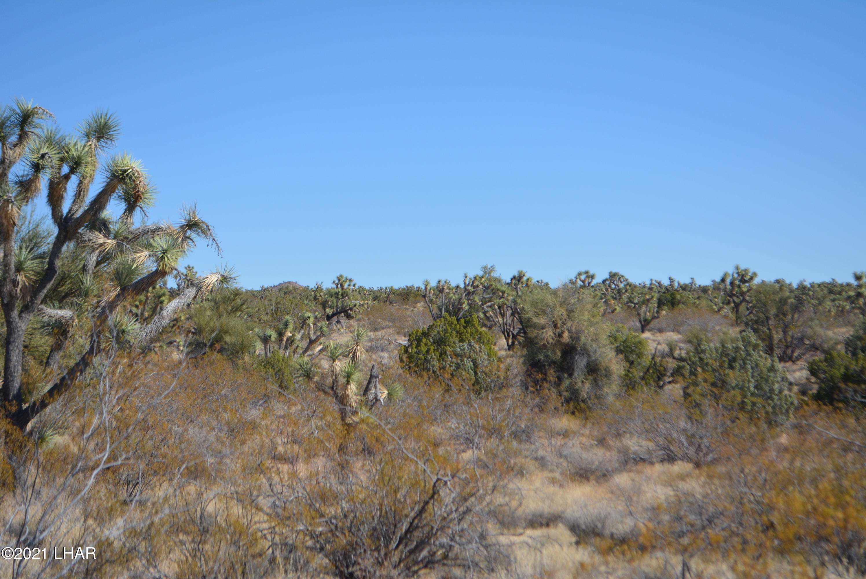 2082 South Roadrunner Road Yucca, AZ 86438 - Photo 10 of 30 DSC_0717