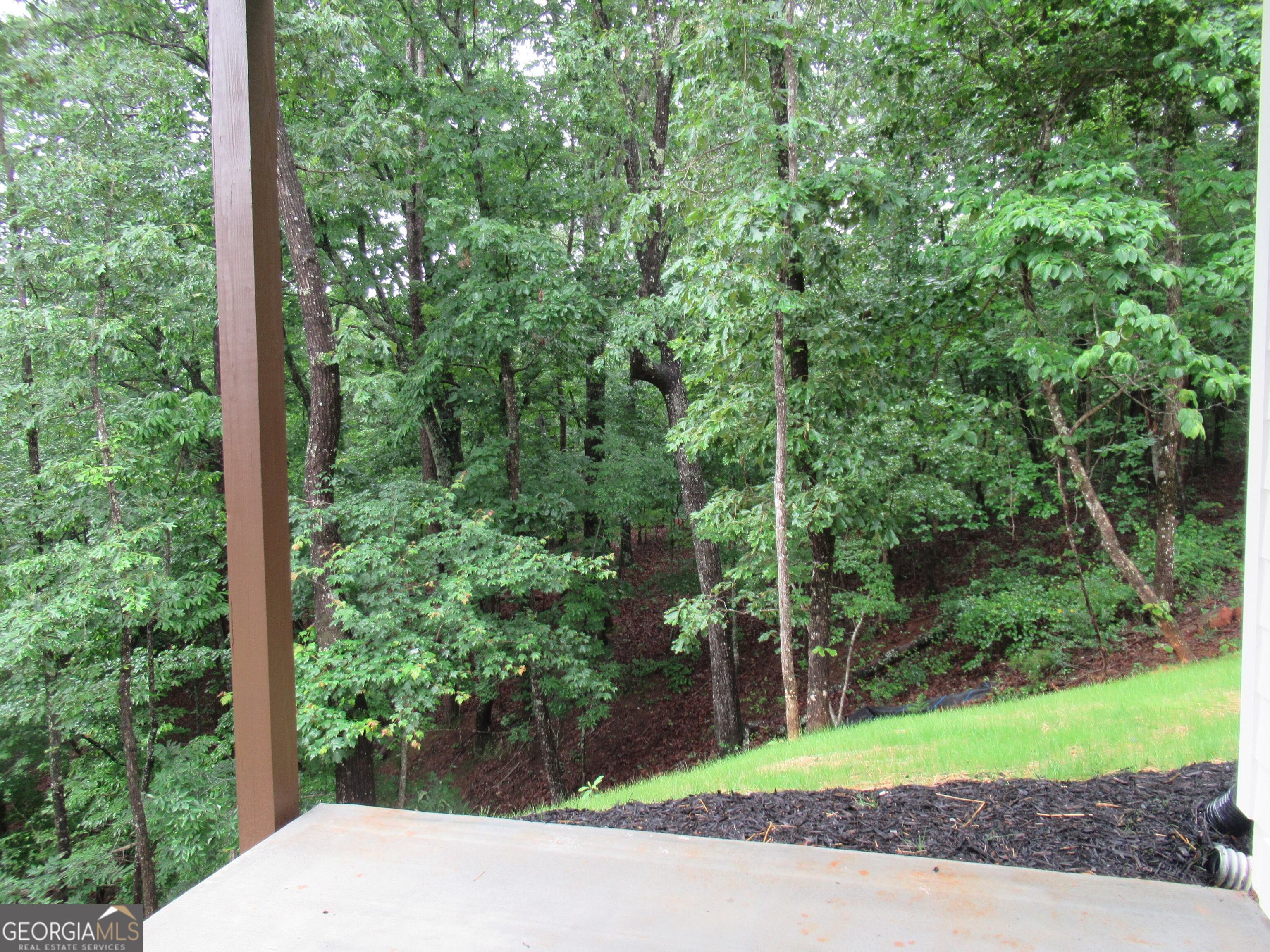 765 Old Kerns Road Dawsonville, GA 30534 - Photo 34 of 36 a view of a backyard with plants and large trees