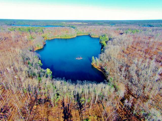 254-acres Kaubashine Road Hazelhurst, WI 54531 - Photo 22 of 78 Gallery Image 22