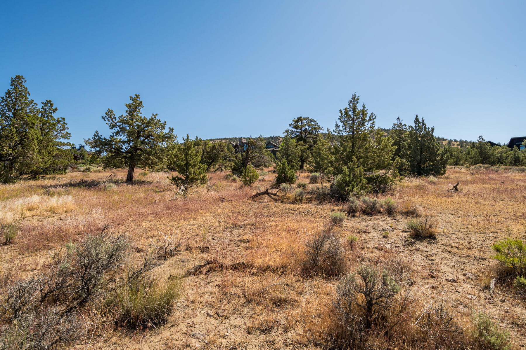 Lot 141 Southwest Brasada Ranch Road Powell Butte, OR 97753 - Photo 6 of 20 JH5_2137
