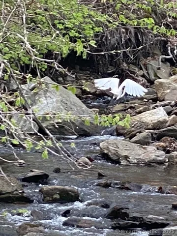 a view of a yard covered with snow on the road