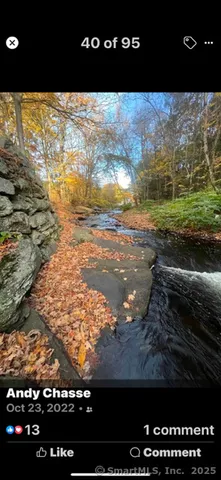 a backyard of a house with lots of plants and trees