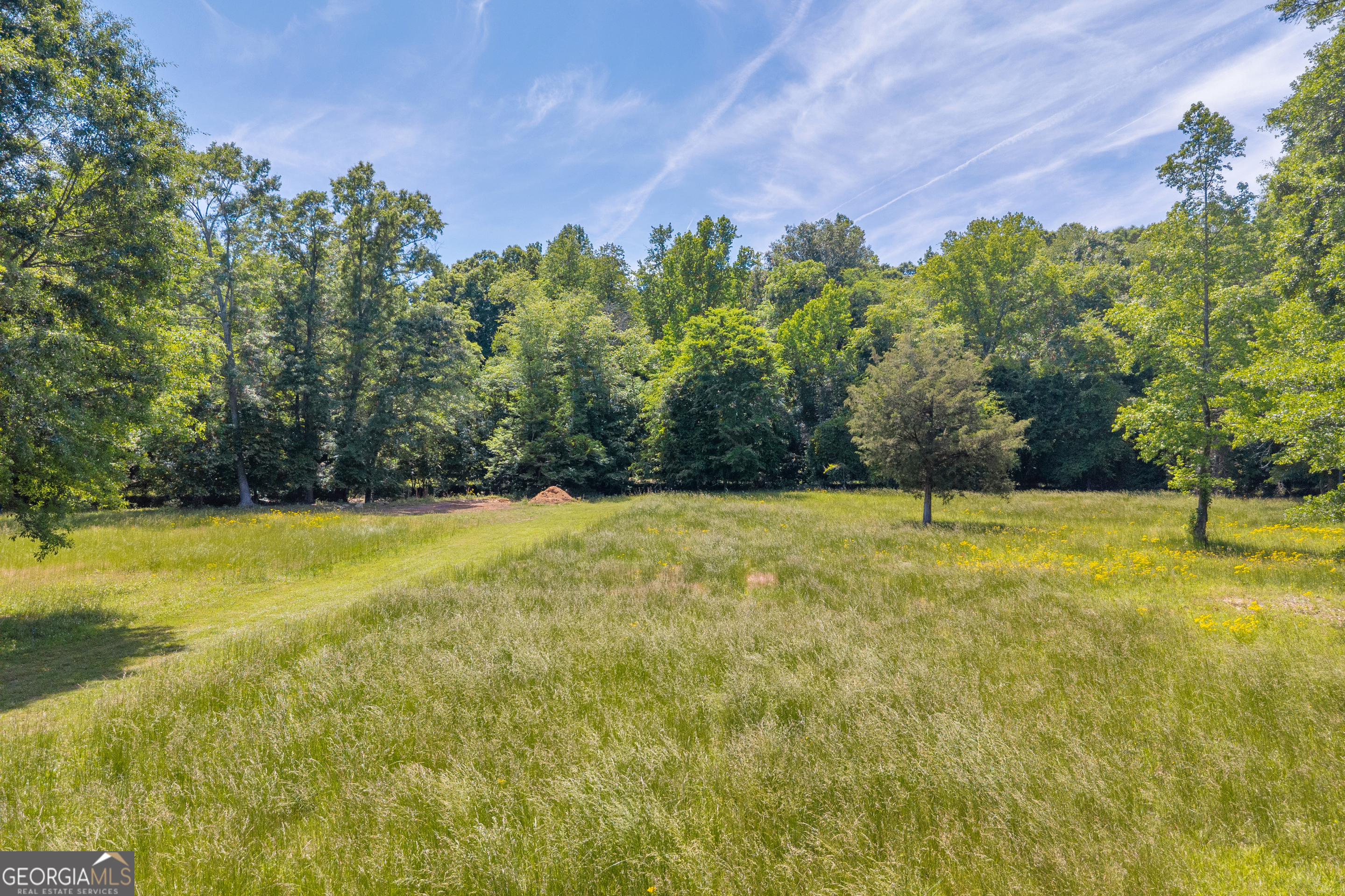 1018 Hardman Morris Road Colbert, GA 30628 - Photo 116 of 128