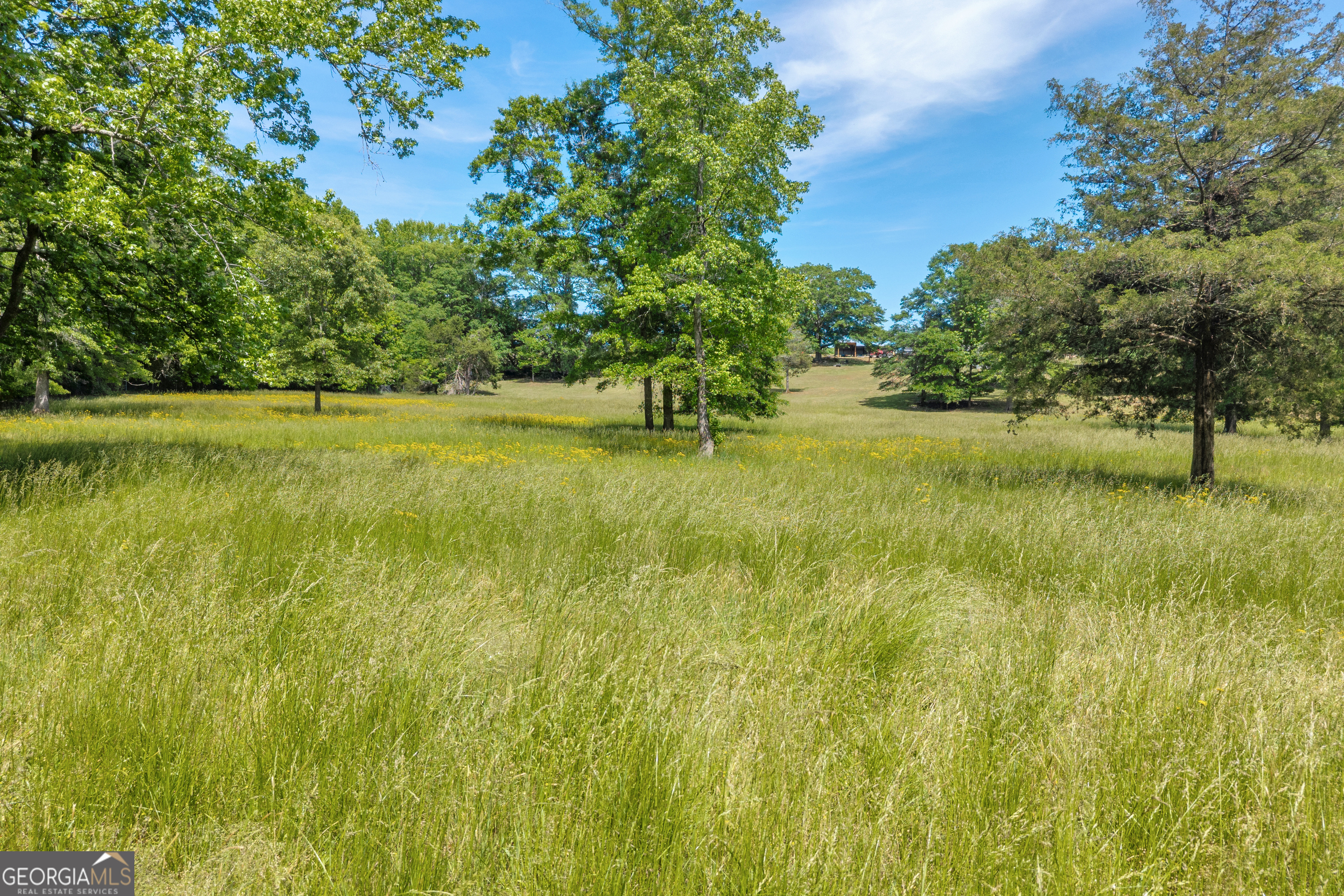 1018 Hardman Morris Road Colbert, GA 30628 - Photo 119 of 128