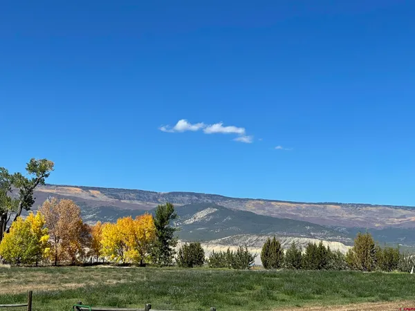 $698,000 | 13147 Alboe Lane, Eckert, CO 81418