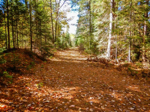 $99,900 | N16656 Dexter Road, Pembine, WI 54156