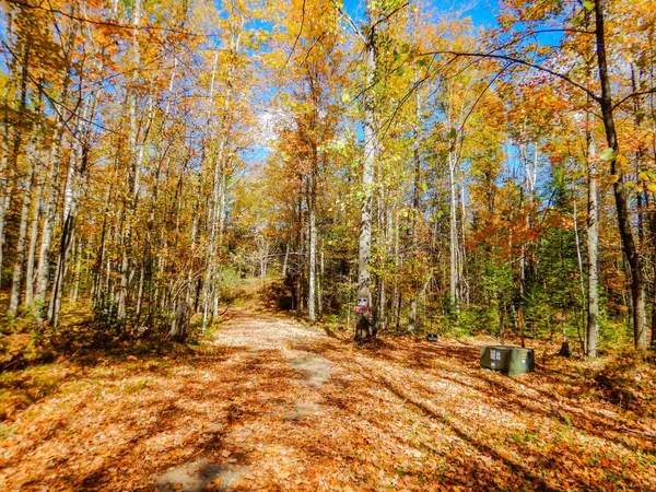 $99,900 | N16656 Dexter Road, Pembine, WI 54156