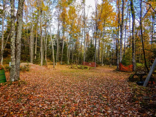 $99,900 | N16656 Dexter Road, Pembine, WI 54156