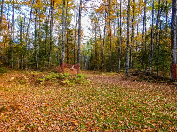 $99,900 | N16656 Dexter Road, Pembine, WI 54156