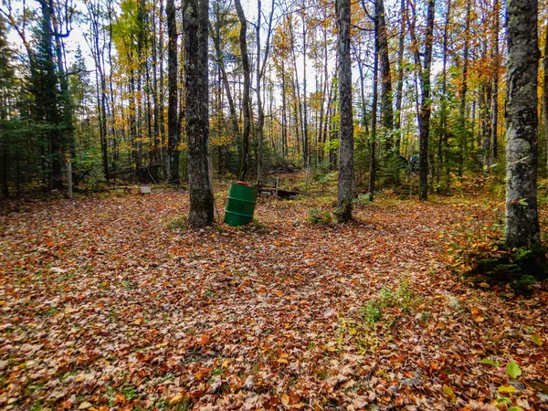 $99,900 | N16656 Dexter Road, Pembine, WI 54156